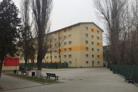 Ragner Lothbrok